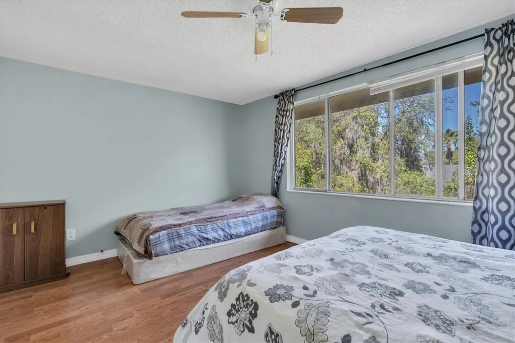 7505 Pitch Pine Circle Tampa FL 33617
