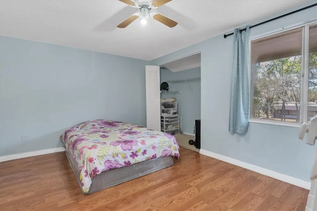 7505 Pitch Pine Circle Tampa FL 33617