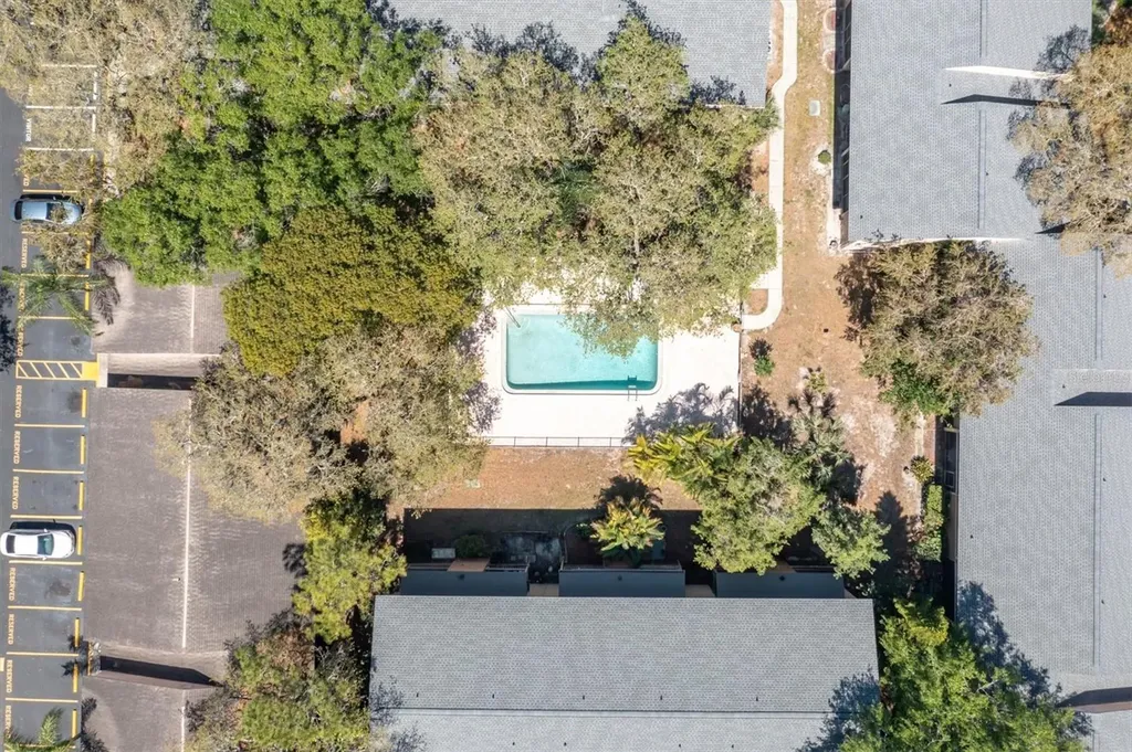 7505 Pitch Pine Circle Tampa FL 33617