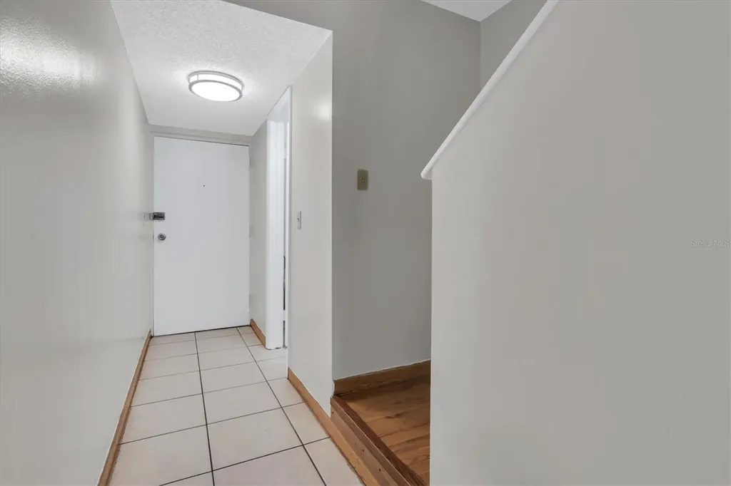 7505 Pitch Pine Circle Tampa FL 33617