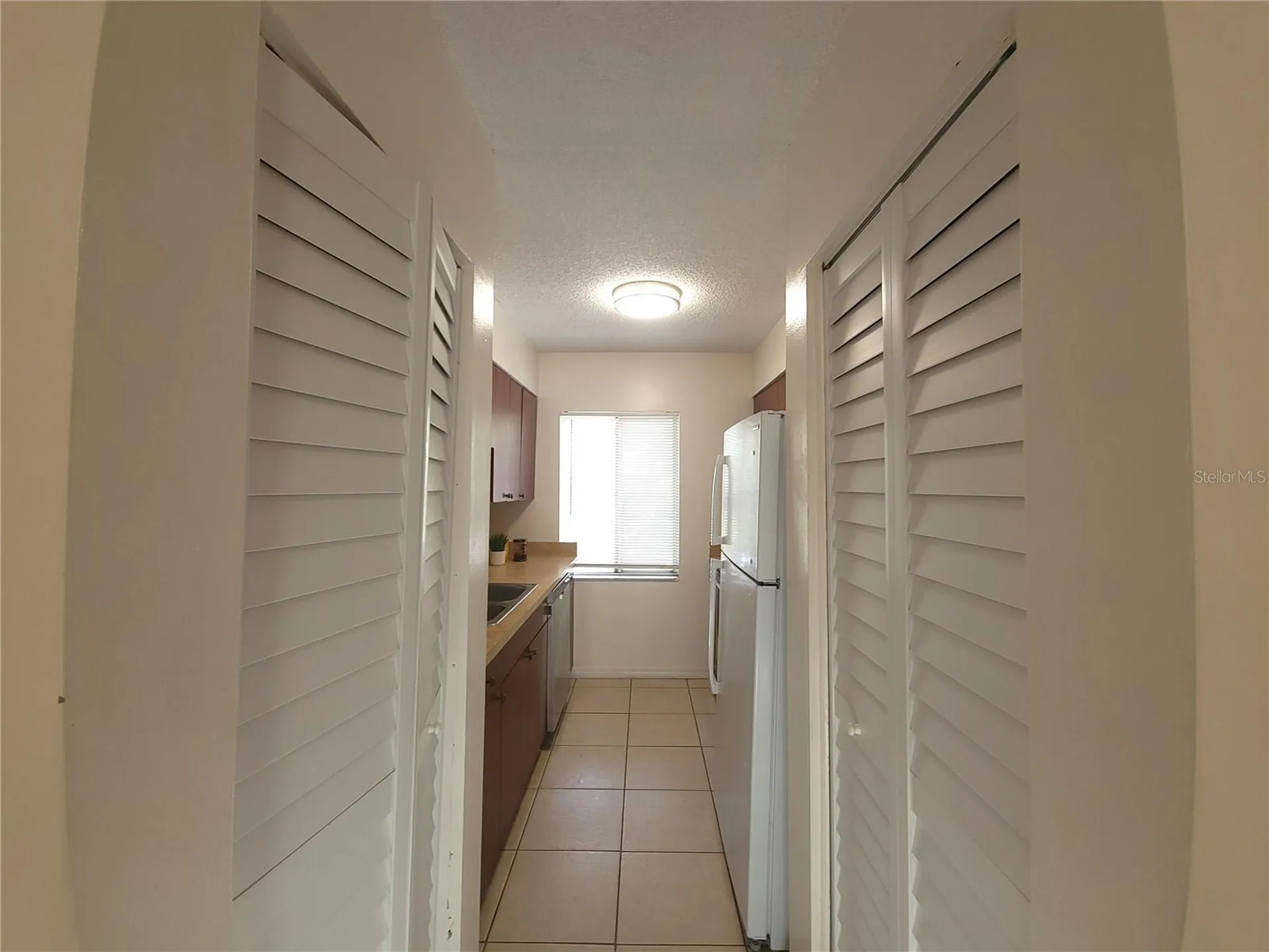 7505 Pitch Pine Circle Tampa FL 33617