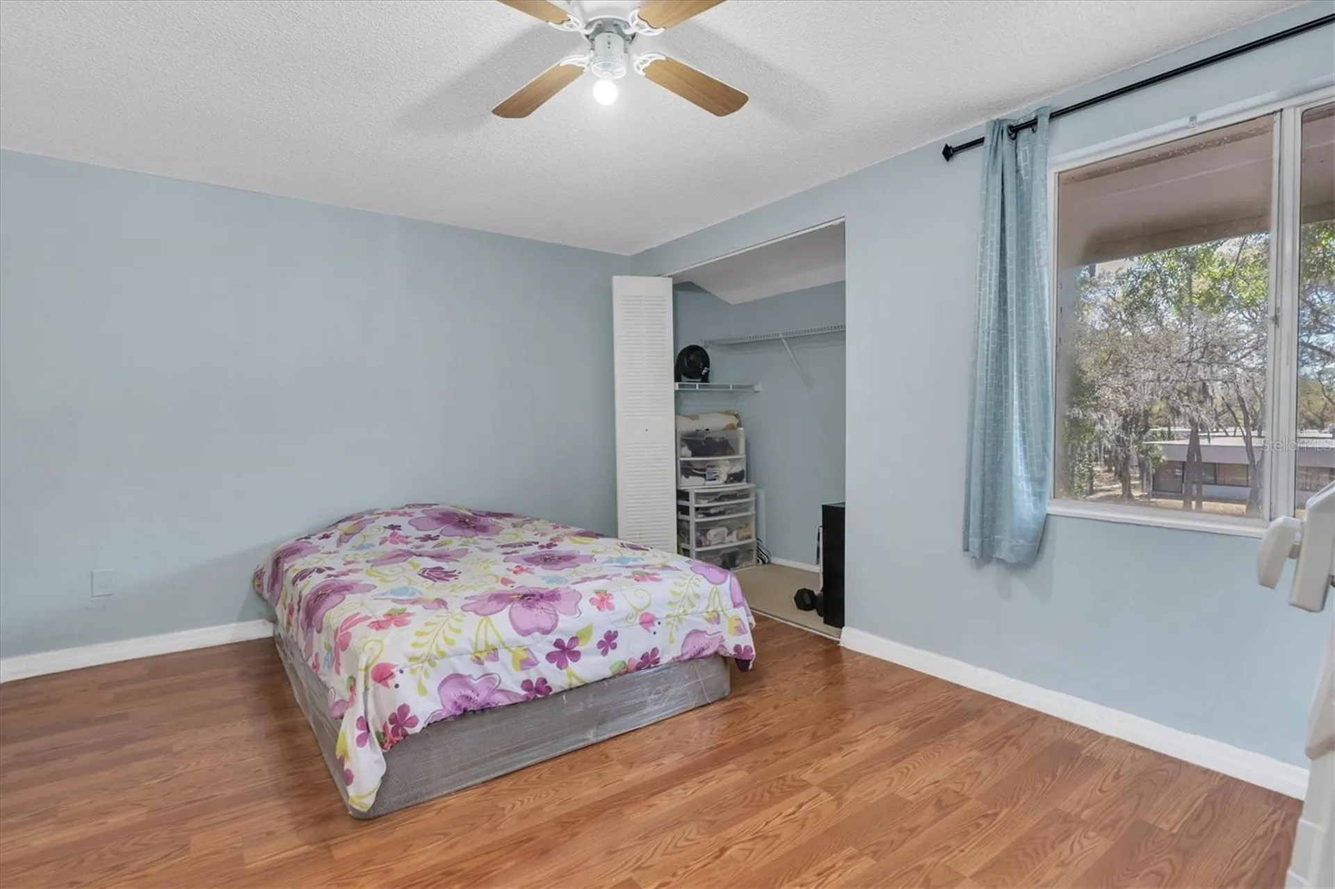 7505 Pitch Pine Circle Tampa FL 33617