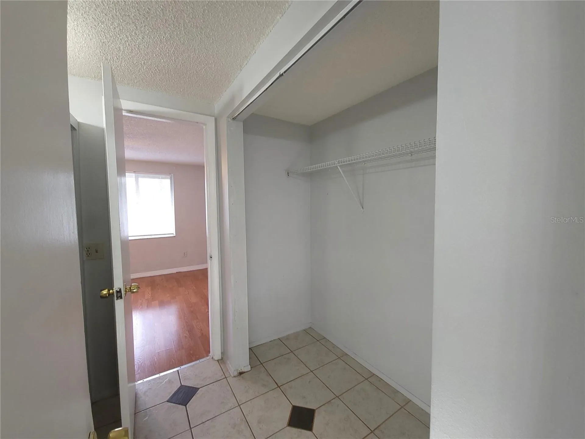 7505 Pitch Pine Circle Tampa FL 33617