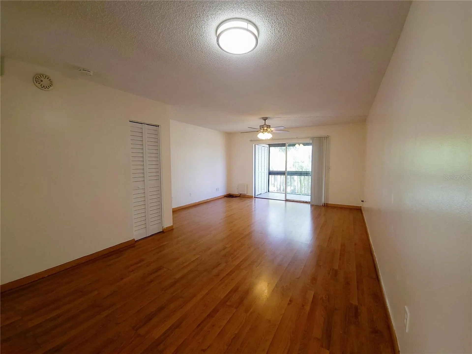 7505 Pitch Pine Circle Tampa FL 33617