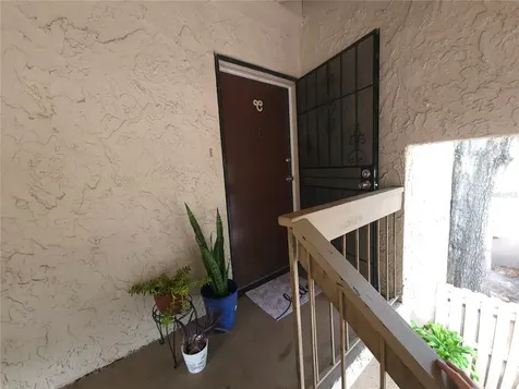 7505 Pitch Pine Circle Tampa FL 33617