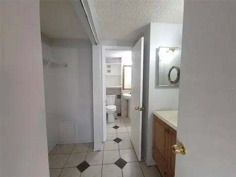 7505 Pitch Pine Circle Tampa FL 33617
