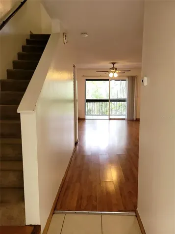 7505 Pitch Pine Circle Tampa FL 33617