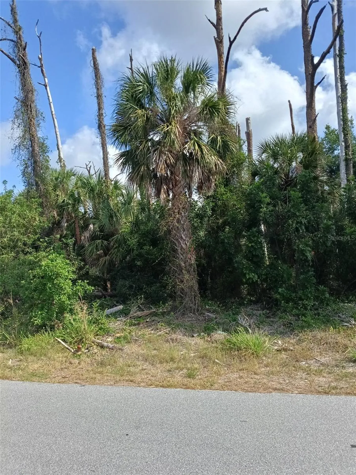 15082 Community Avenue Port Charlotte FL 33953