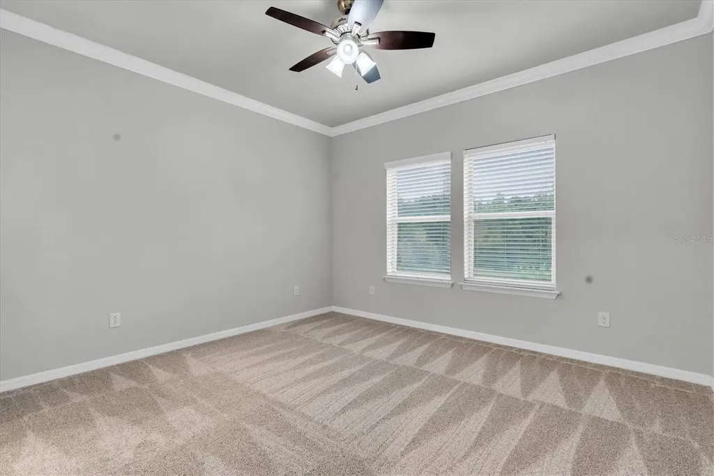 12929 Payton Street Odessa FL 33556
