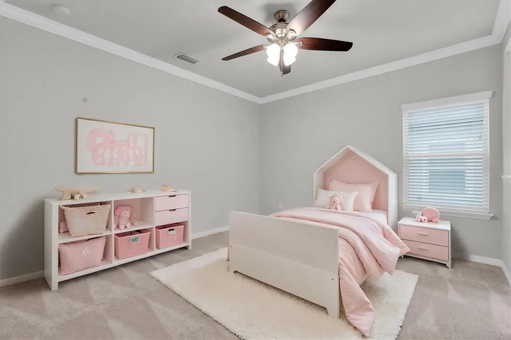 12929 Payton Street Odessa FL 33556