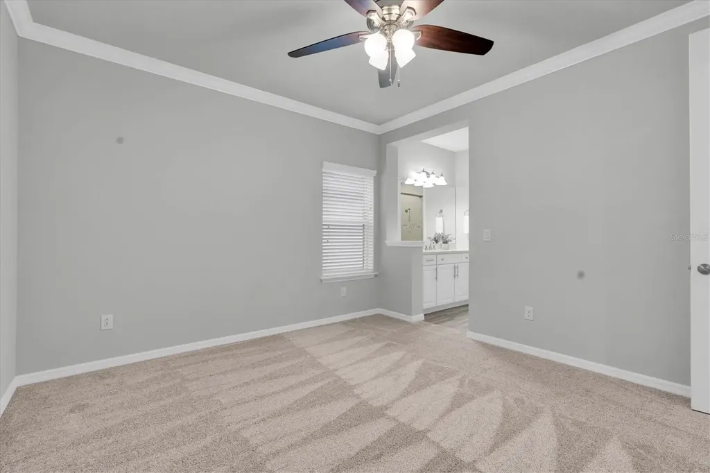 12929 Payton Street Odessa FL 33556