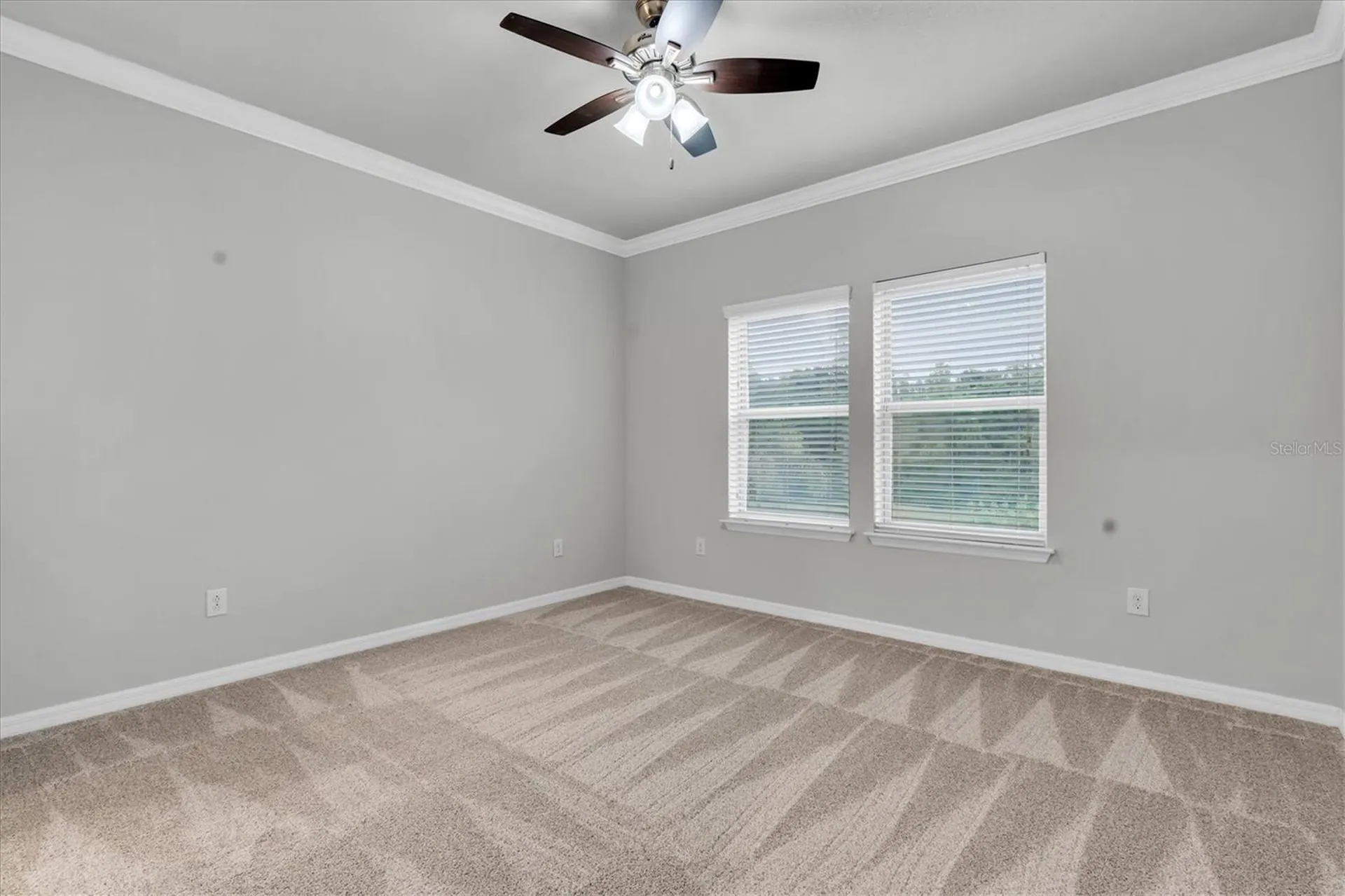 12929 Payton Street Odessa FL 33556
