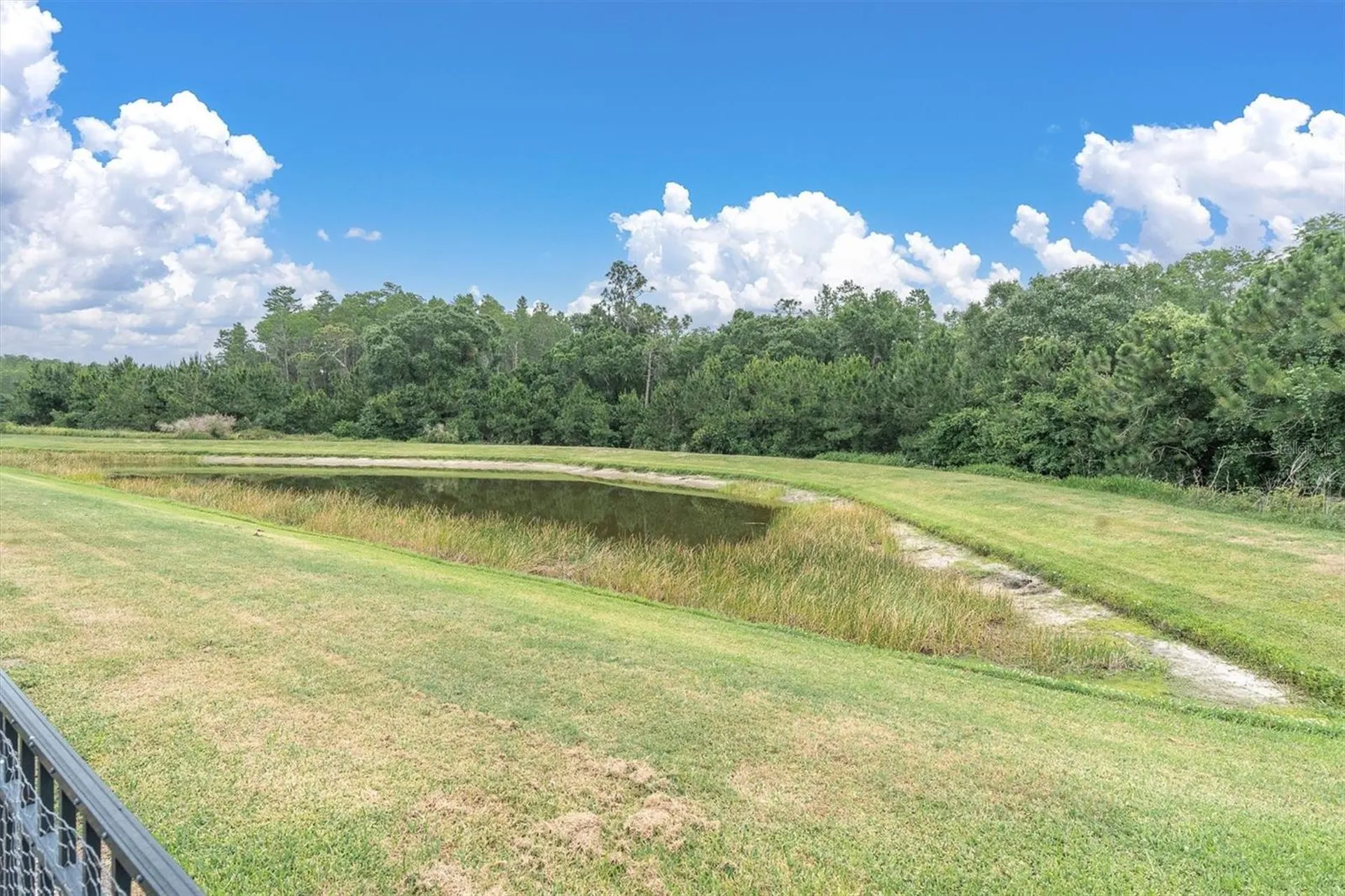 12929 Payton Street Odessa FL 33556