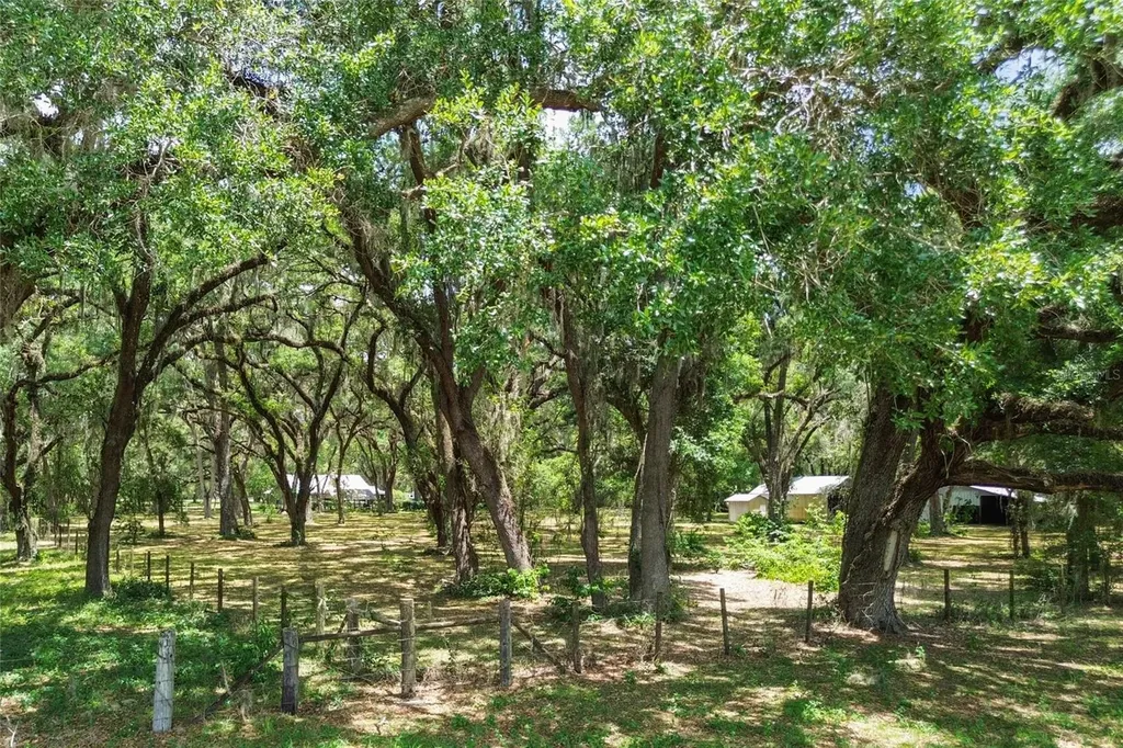 1153 Cr 722 Webster FL 33597