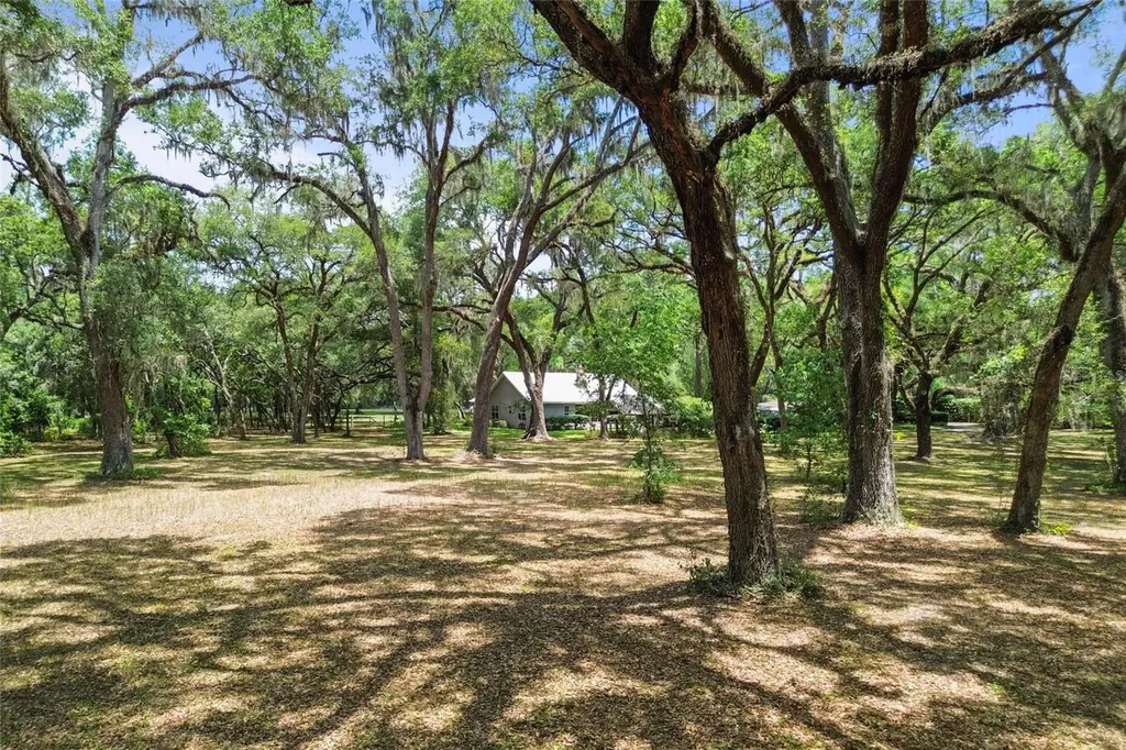 1153 Cr 722 Webster FL 33597