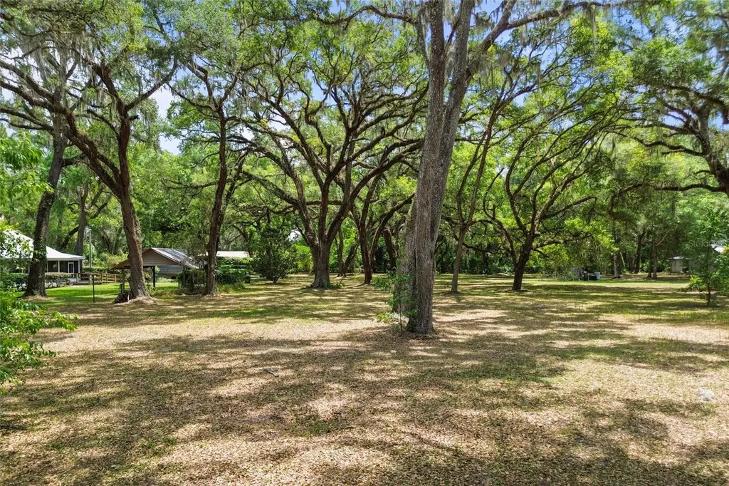 1153 Cr 722 Webster FL 33597