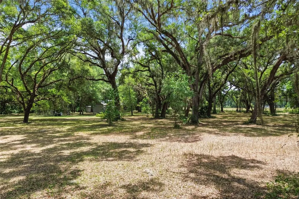 1153 Cr 722 Webster FL 33597