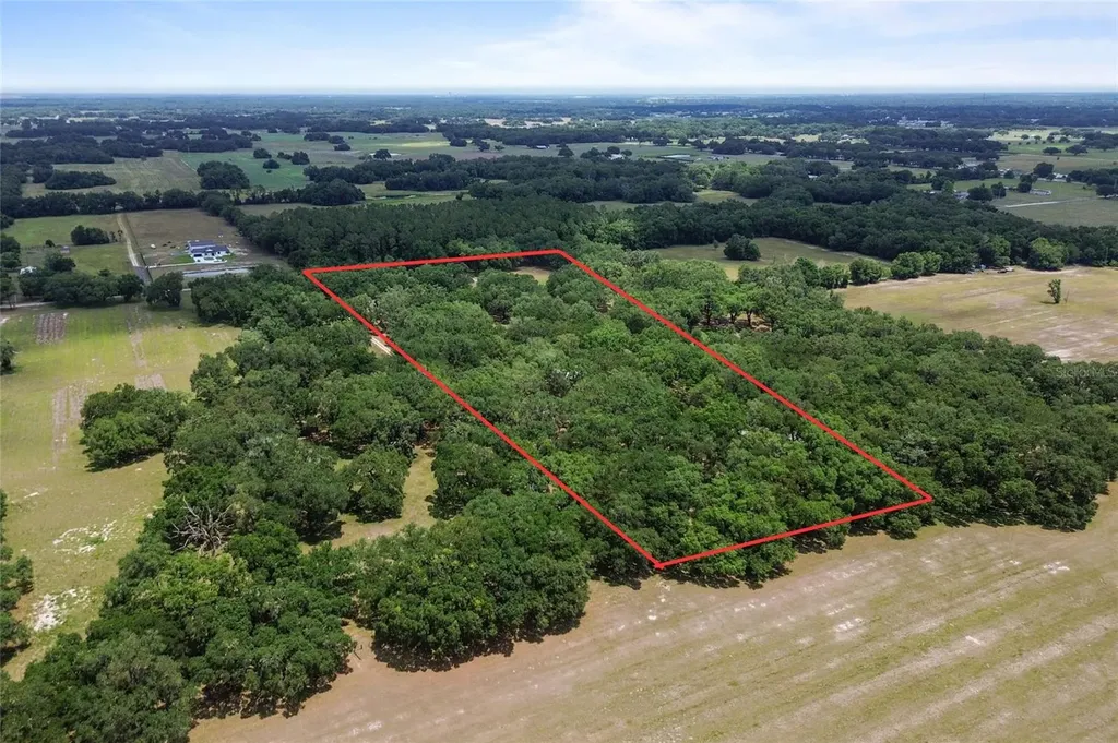 1153 Cr 722 Webster FL 33597