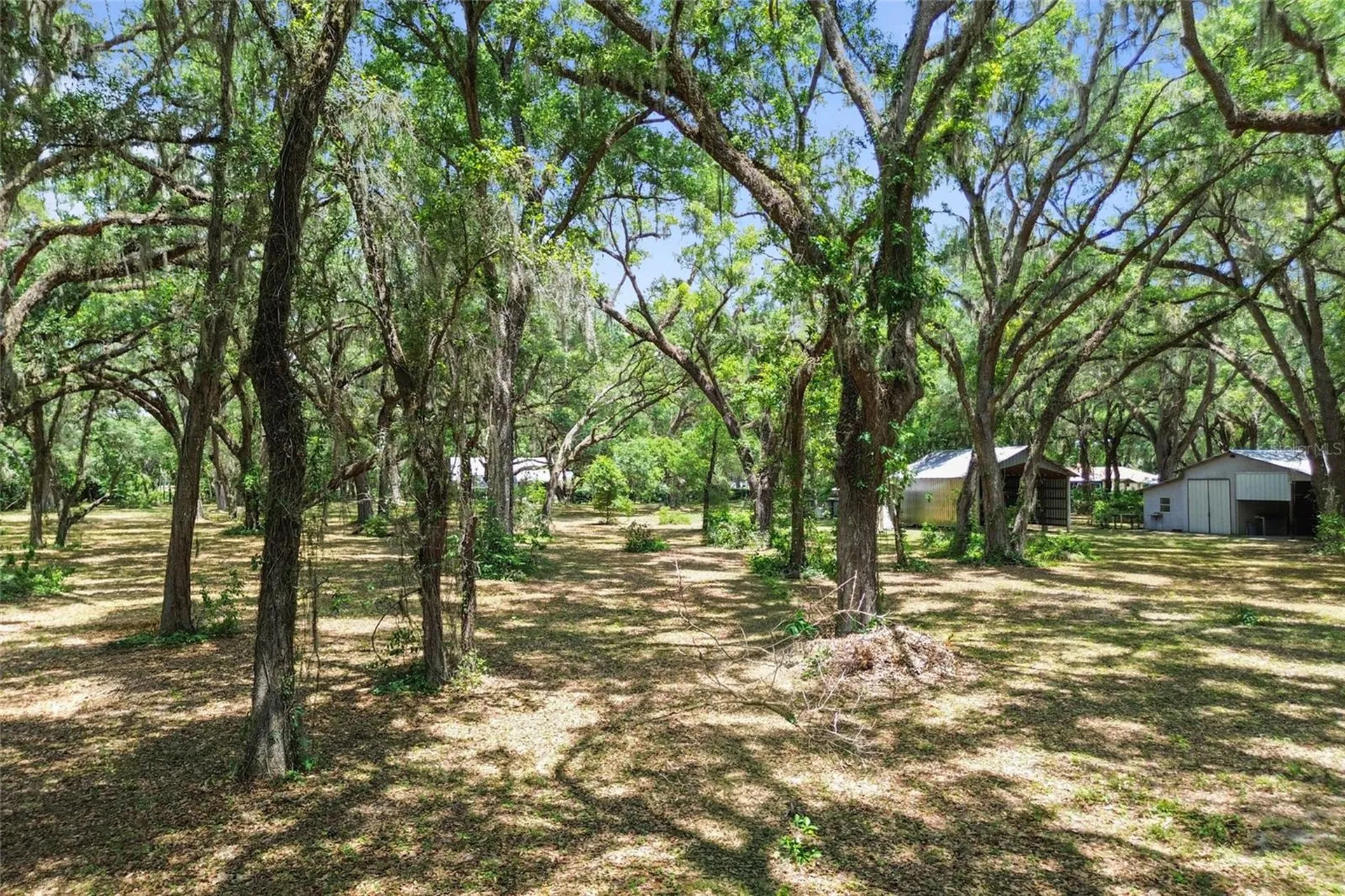 1153 Cr 722 Webster FL 33597