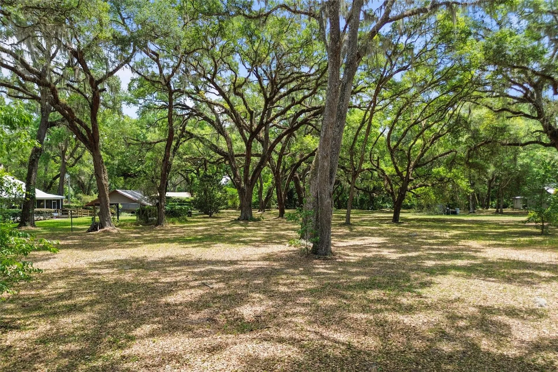 1153 Cr 722 Webster FL 33597