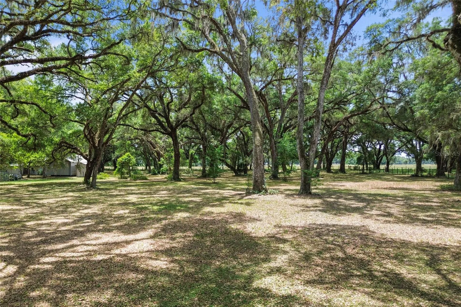 1153 Cr 722 Webster FL 33597