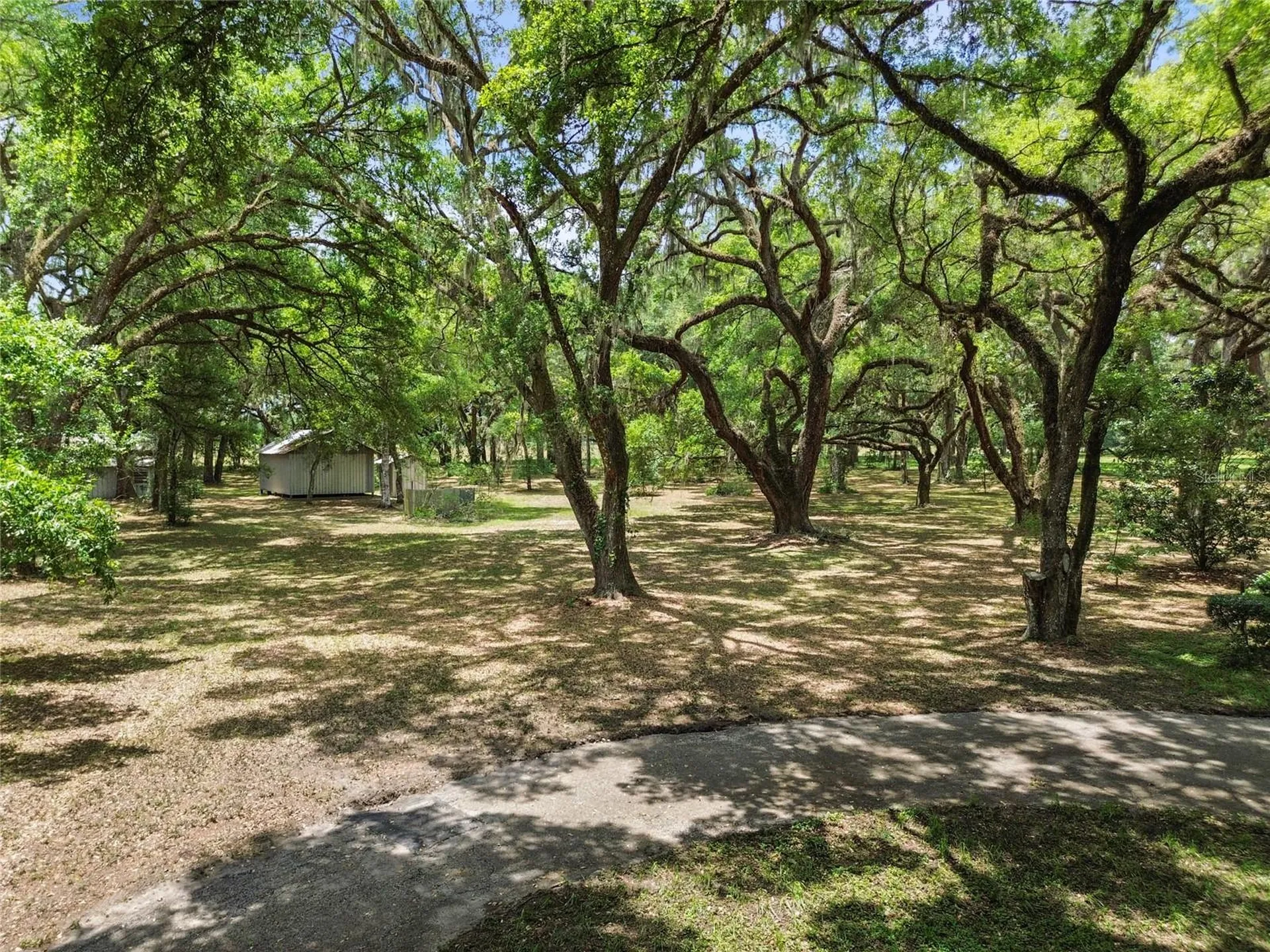 1153 Cr 722 Webster FL 33597