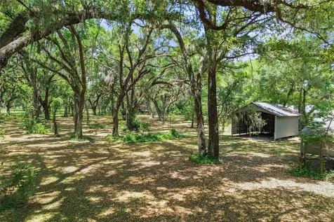 1153 Cr 722 Webster FL 33597