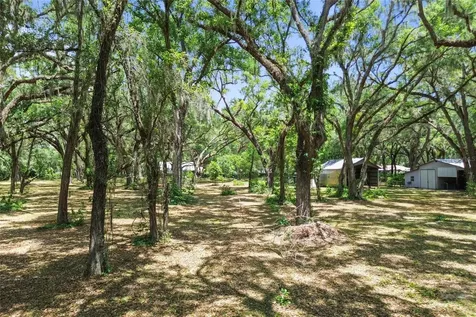 1153 Cr 722 Webster FL 33597