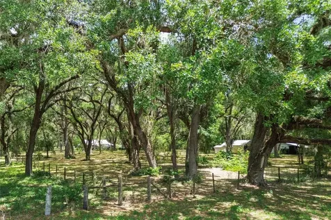 1153 Cr 722 Webster FL 33597