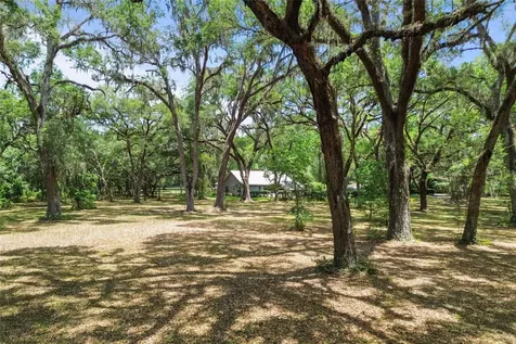 1153 Cr 722 Webster FL 33597