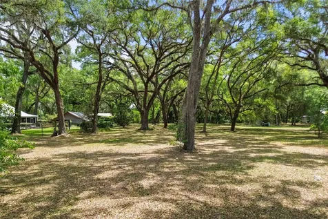 1153 Cr 722 Webster FL 33597