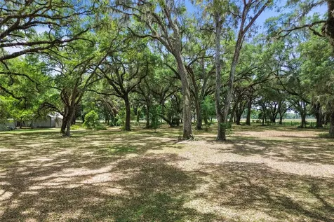 1153 Cr 722 Webster FL 33597