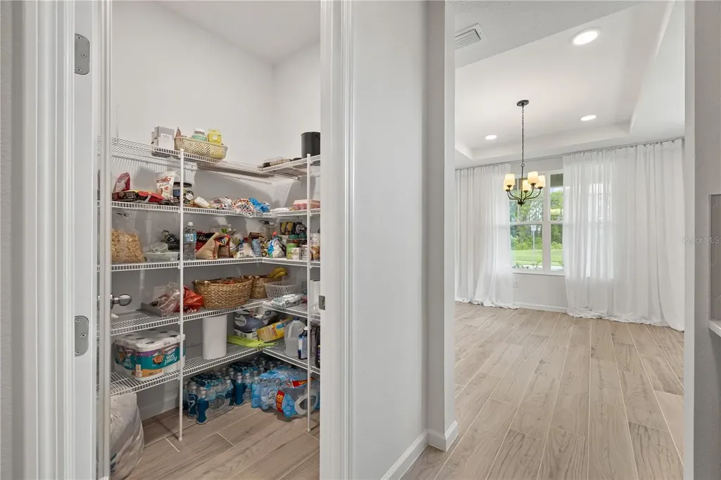 17372 Glossy Pomelo Way Winter Garden FL 34787