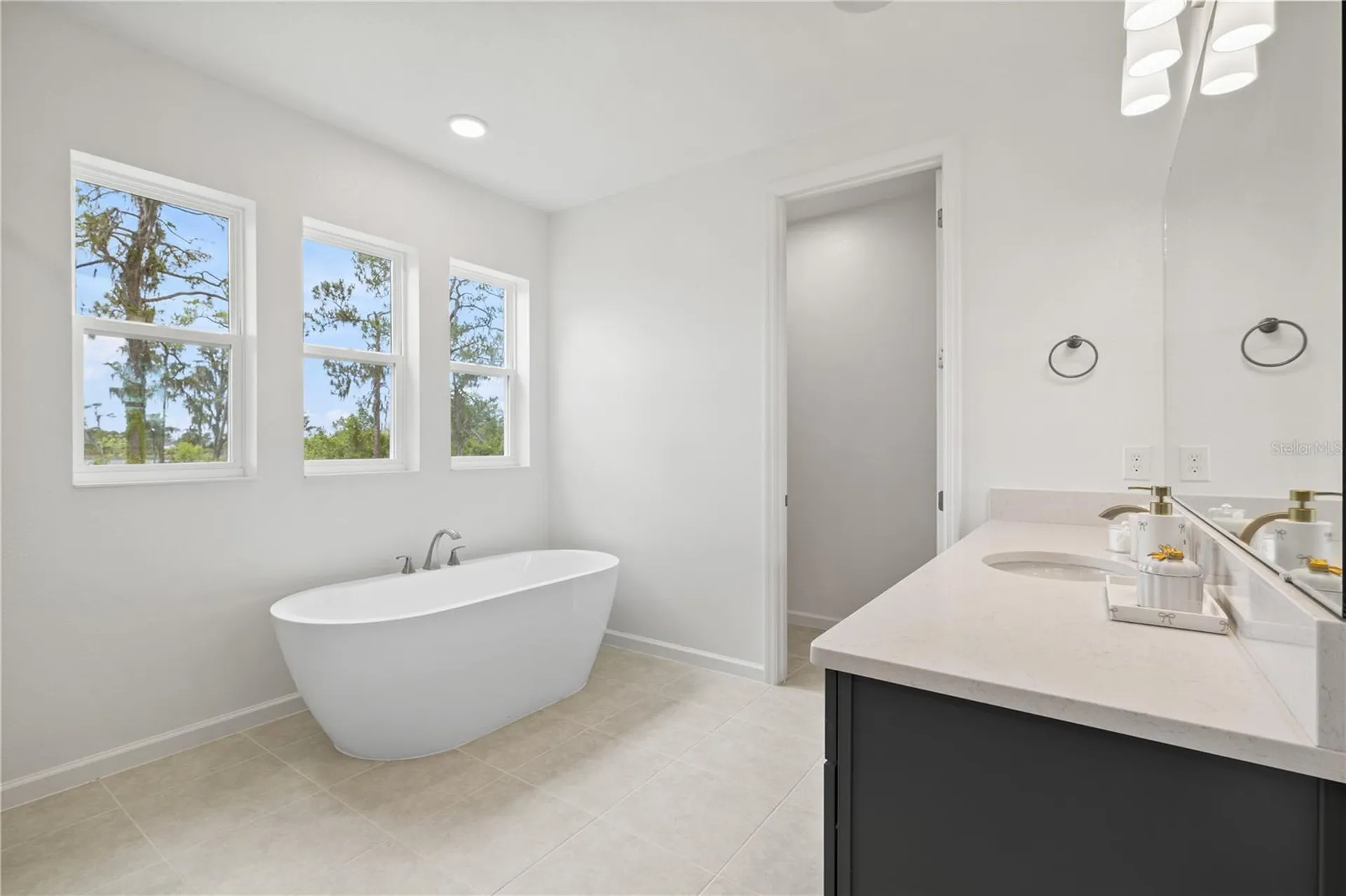 17372 Glossy Pomelo Way Winter Garden FL 34787