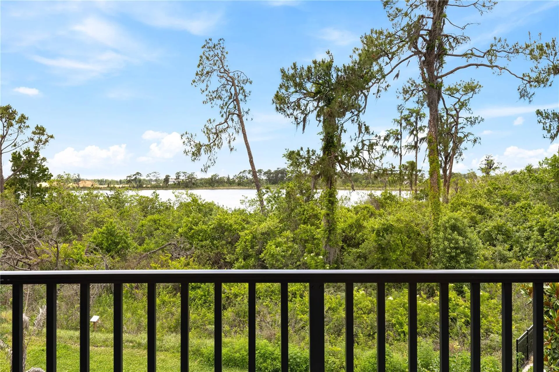 17372 Glossy Pomelo Way Winter Garden FL 34787