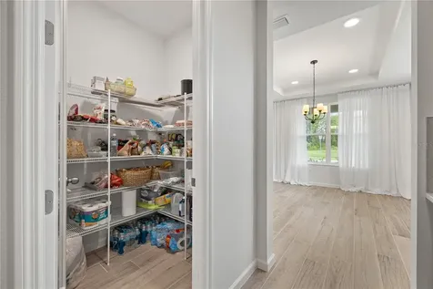17372 Glossy Pomelo Way Winter Garden FL 34787