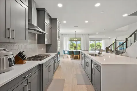 17372 Glossy Pomelo Way Winter Garden FL 34787