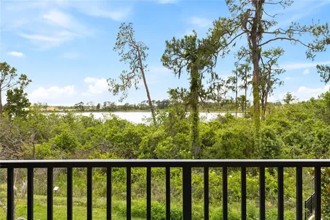 17372 Glossy Pomelo Way Winter Garden FL 34787