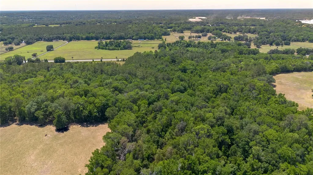 00 NW Highway 225 Reddick FL 32686
