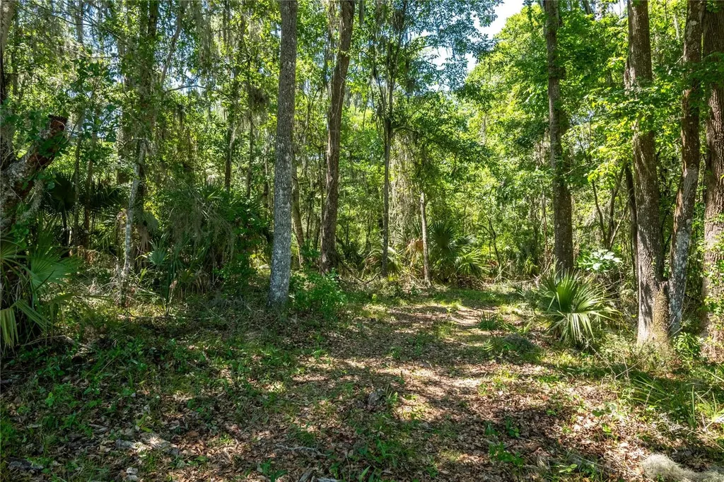 00 NW Highway 225 Reddick FL 32686