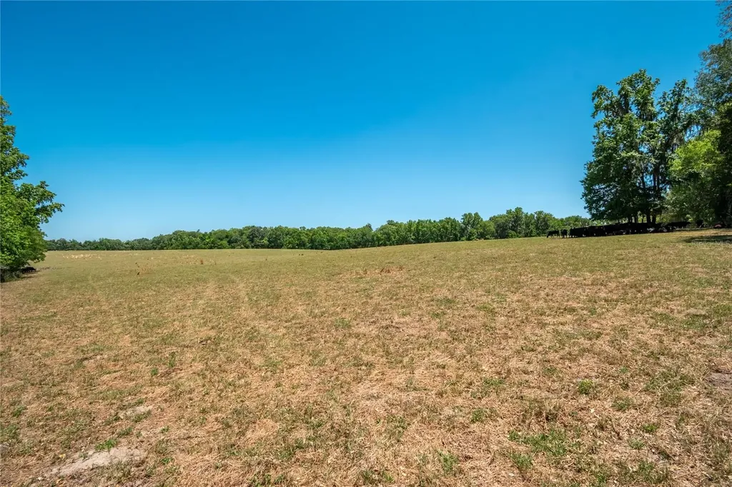 00 NW Highway 225 Reddick FL 32686