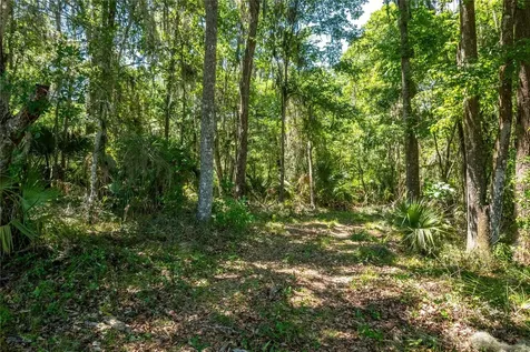 00 NW Highway 225 Reddick FL 32686