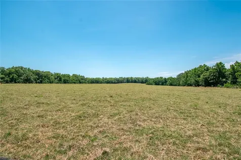 00 NW Highway 225 Reddick FL 32686