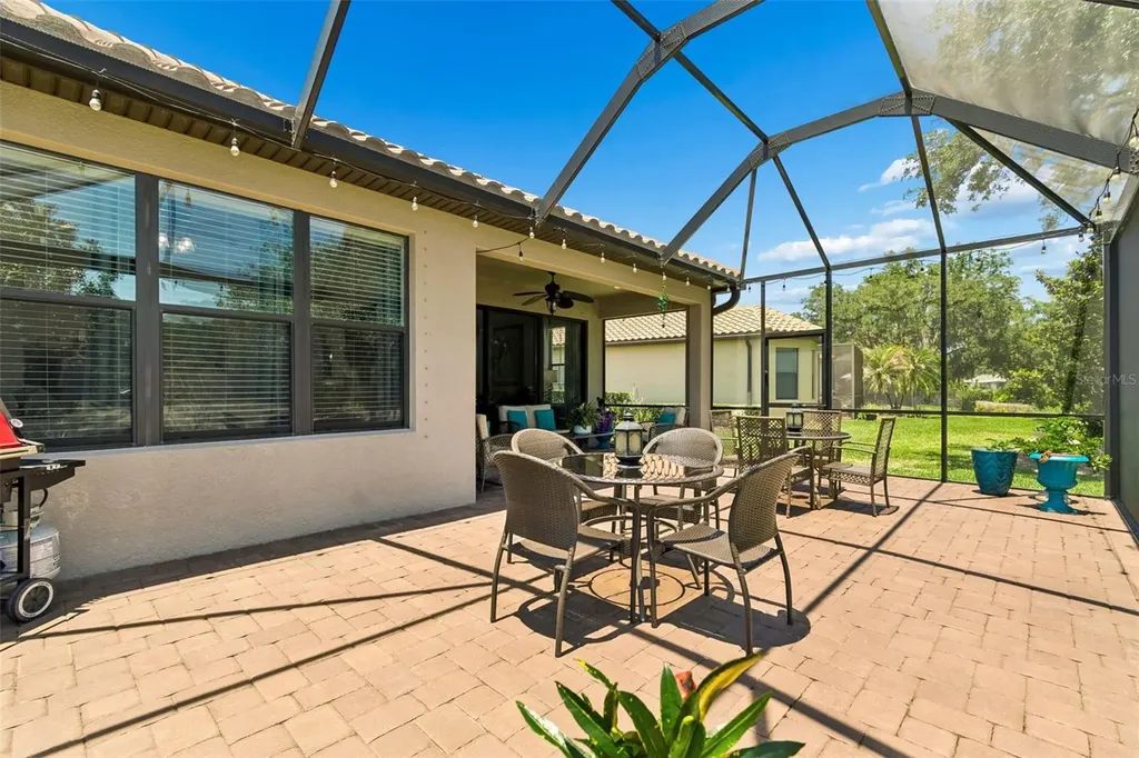 8447 Alberata Vista Drive Tampa FL 33647
