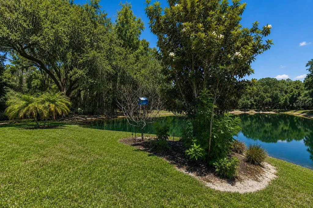 8447 Alberata Vista Drive Tampa FL 33647