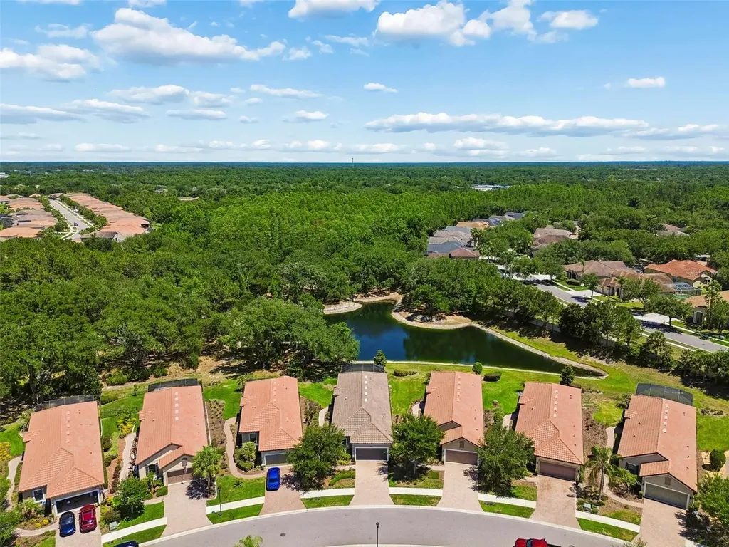 8447 Alberata Vista Drive Tampa FL 33647
