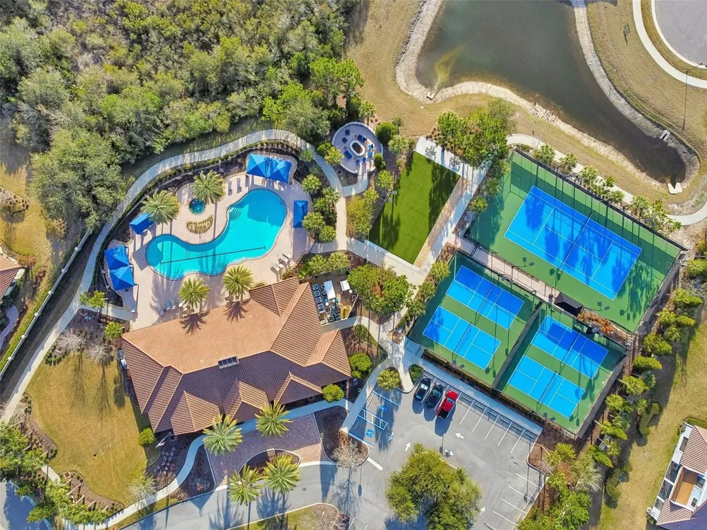 8447 Alberata Vista Drive Tampa FL 33647