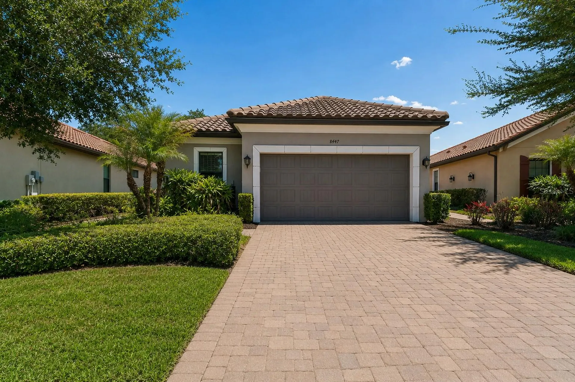 8447 Alberata Vista Drive Tampa FL 33647
