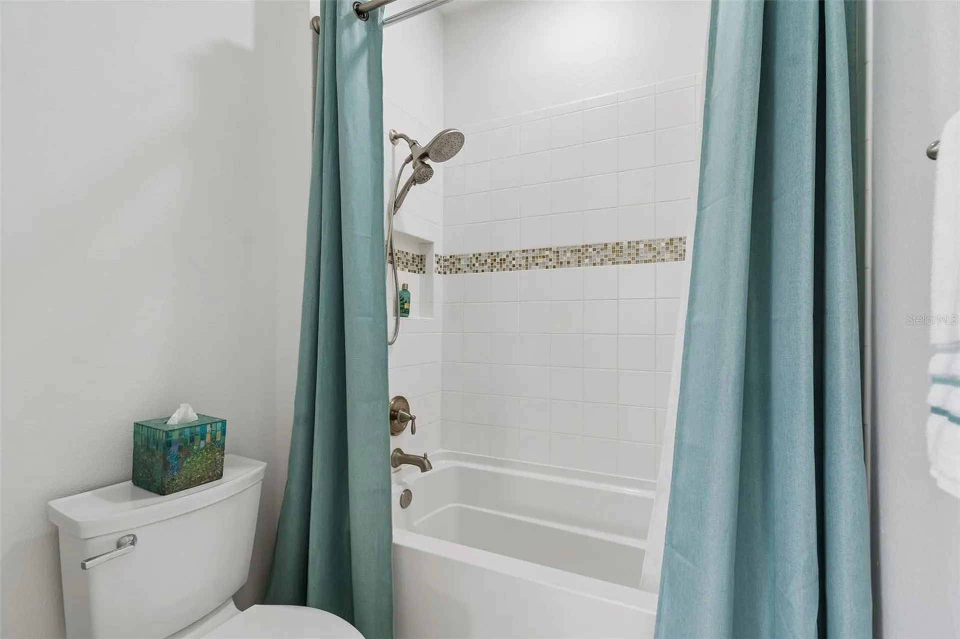 8447 Alberata Vista Drive Tampa FL 33647