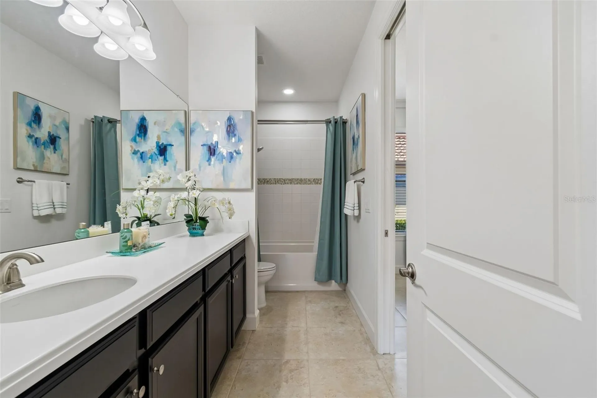 8447 Alberata Vista Drive Tampa FL 33647